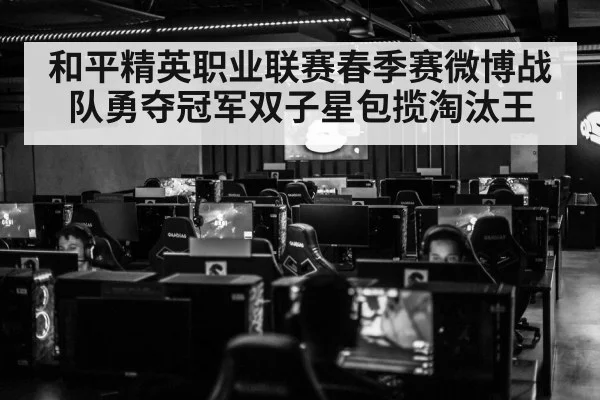 和平精英职业联赛春季赛微博战队勇夺冠军双子星包揽淘汰王