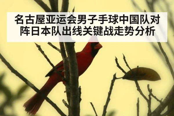 名古屋亚运会男子手球中国队对阵日本队出线关键战走势分析